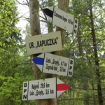Nowe ścieżki biegowe w Biebrzańskim Parku Narodowym. Propozycja dla aktywnych