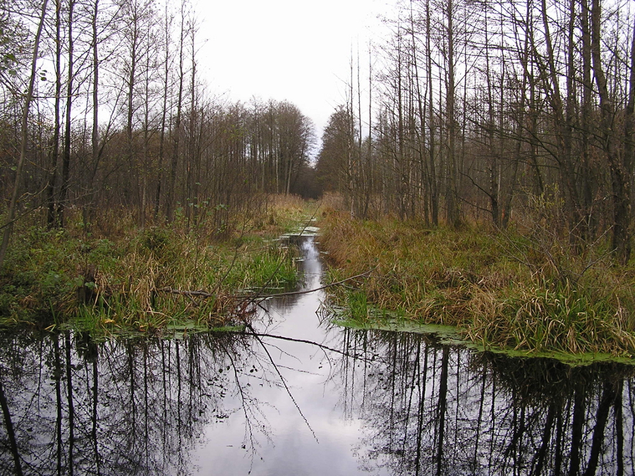 łomżyński Park Krajobrazowy Doliny Narwi Łomżyński Park Krajobrazowy Doliny Narwi, Podlaskie Targi Turystyczne