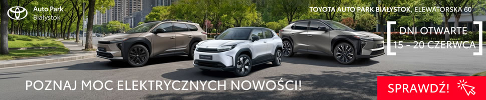 Toyota Auto Park