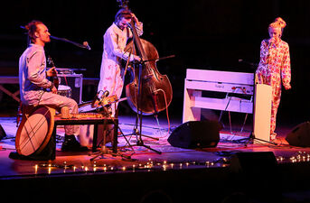 Domowe Melodie - koncert