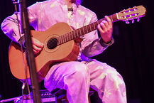 Domowe Melodie - koncert