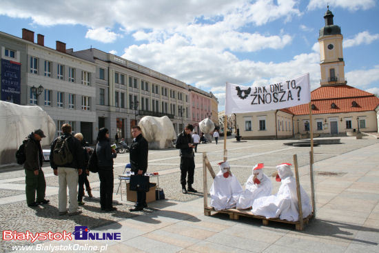 Jak one to znoszą. Happening na Rynku Kościuszki