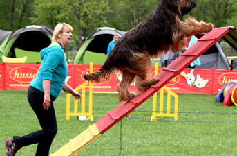 Zawody Agility Podlasie 2014