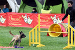 Zawody Agility Podlasie 2014