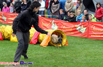 Zawody Agility Podlasie 2014