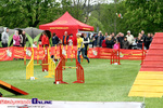 Zawody Agility Podlasie 2014