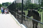 Wśród mieszkańców zoo jest liczne ptactwo, w tym bociany