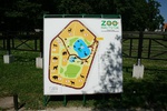 W zoo można też spotkać młode muflony