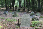 2014.09.08 - Cmentarz żydowski w Knyszynie
