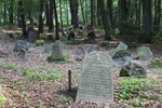 2014.09.08 - Cmentarz żydowski w Knyszynie