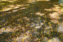 2014 Jesień w Białymstoku