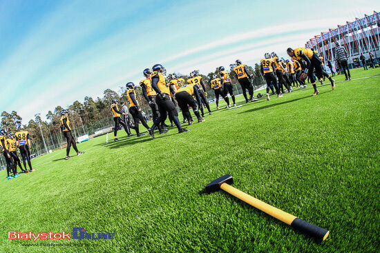 Primacol Lowlanders Białystok - Panthers Wrocław