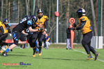 Primacol Lowlanders Białystok - Panthers Wrocław