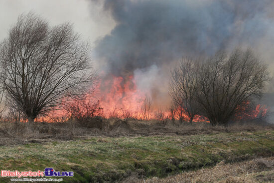 Pożar przy Decathlonie