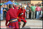 VIII Biesiada Miodowa