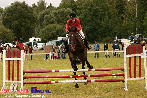 Otwarte Jeździeckie Mistrzostwa Białegostoku w Skokach przez Przeszkody