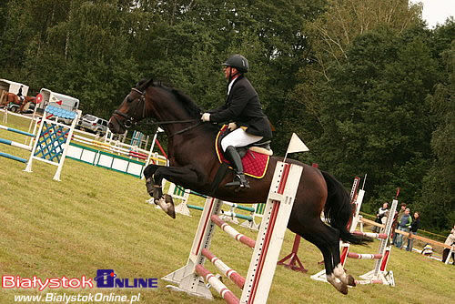 Otwarte Jeździeckie Mistrzostwa Białegostoku w Skokach przez Przeszkody