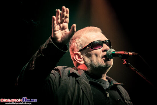 Świetliki. Koncert w Zmianie Klimatu