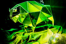 Żubroffka - otwarcie festiwalu