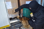 Listopad. Siemianówka - 90 tys. paczek papierosów w wagonach z cementem