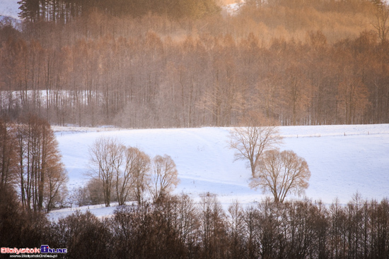 Suwalski Park Krajobrazowy zimą