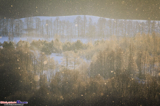 Suwalski Park Krajobrazowy zimą