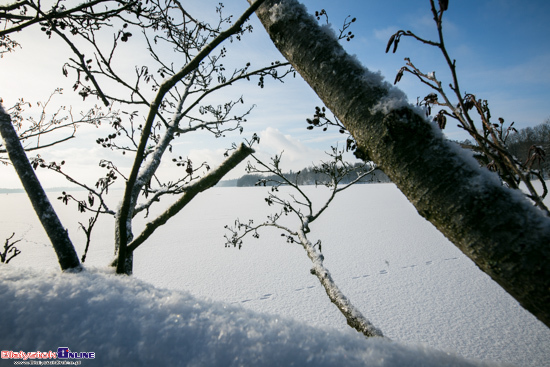 Suwalski Park Krajobrazowy zimą