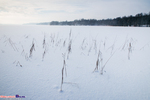 Suwalski Park Krajobrazowy zimą