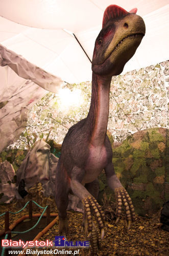 Dinozaury - Olbrzymy z przeszłości