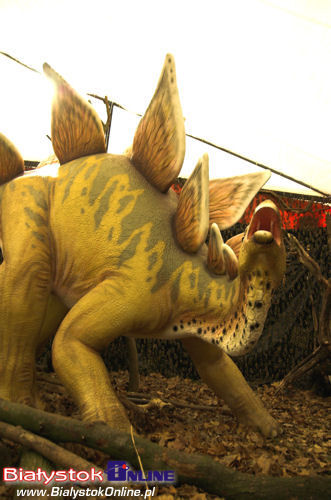 Dinozaury - Olbrzymy z przeszłości