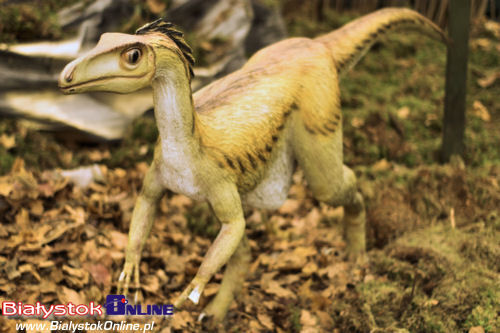 Dinozaury - Olbrzymy z przeszłości