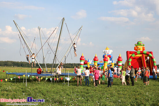 Rekonstrukcja wiktorii wiedeńskiej