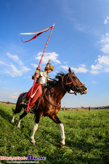 Rekonstrukcja wiktorii wiedeńskiej