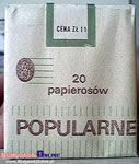 Plan zajęć