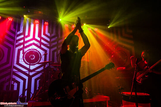 Ørganek w Zmianie Klimatu