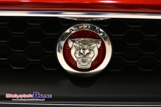 Motor Show Poznań 2017