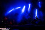 Koncert Grubsona