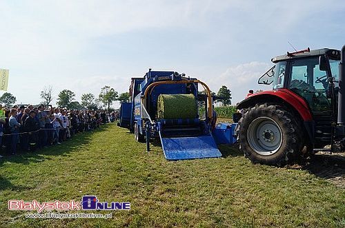 Podlaski Dzień Kukurydzy