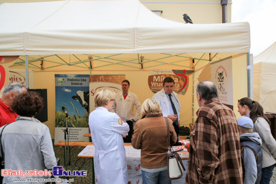 Świętomięs Polski w Białymstoku