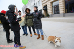 Wielka Orkiestra Świątecznej Pomocy