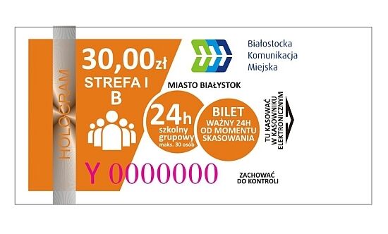 Bilet 24-godzinny szkolny grupowy