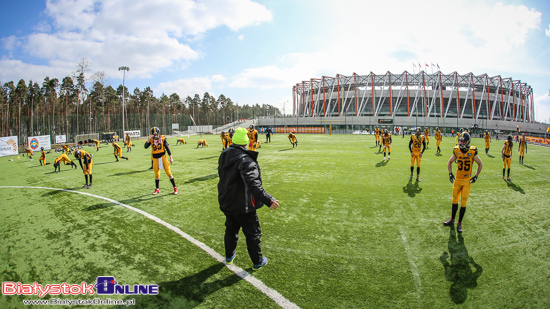 Lowlanders Białystok - Seahawks Gdynia