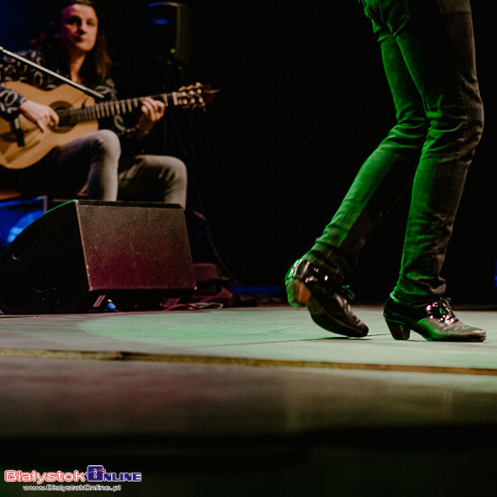 Koncert Flamenco: Noelia Vicente Vargas y su compañía