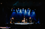 Koncert Flamenco: Noelia Vicente Vargas y su compañía