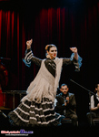 Koncert Flamenco: Noelia Vicente Vargas y su compañía