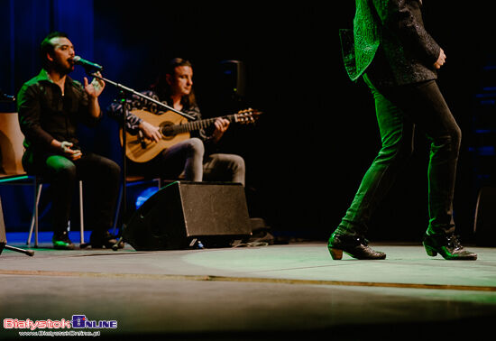 Koncert Flamenco: Noelia Vicente Vargas y su compañía