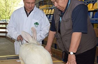 Wiosenne Targi Ogrodnicze i Targi Pszczelarskie