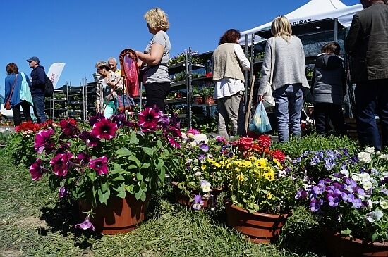 Wiosenne Targi Ogrodnicze i Targi Pszczelarskie