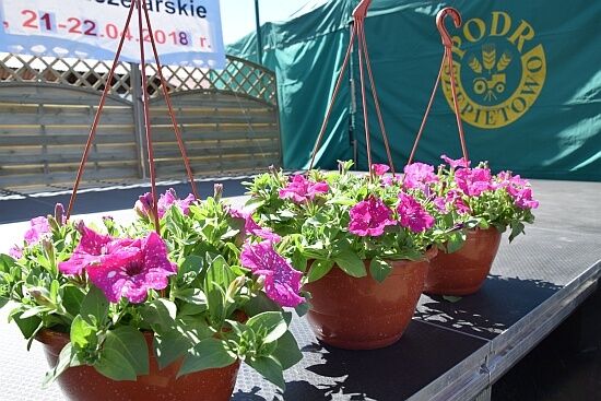 Wiosenne Targi Ogrodnicze i Targi Pszczelarskie