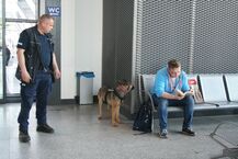 "Łap bandziora" - szkolenie psów policyjnych